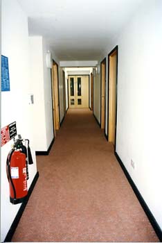 img232