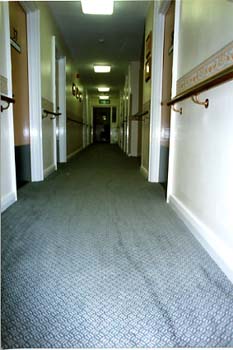 img239